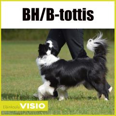 BH / B-tottis