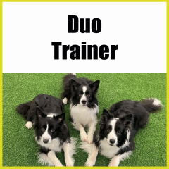 Duo Trainer