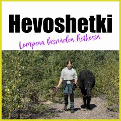 Hevoshetki