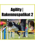 Agility | Rakennuspalikat 2 - agilityn jatkokurssi