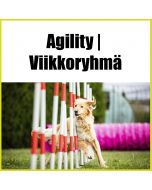 Agility | Viikkoryhmä