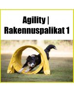 Agility | Rakennuspalikat 1 - agilityn jatkokurssi