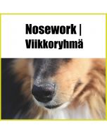 Nosework | Viikkoryhmä