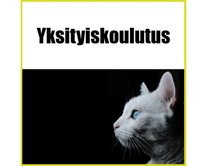 Vivian Valli | Yksityiskoulutus | kissat