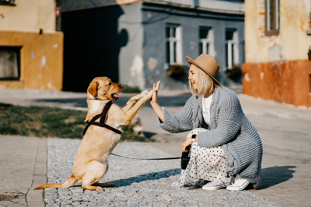 Reaktiivisesta rennoksi